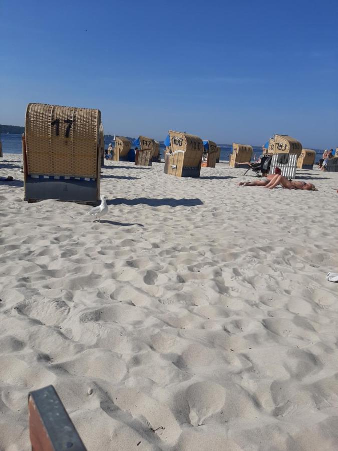 Penthouse Ferienwohnung Auszeit, Gerne Mit Hund, Wlan Inkl. Laboe Eksteriør bilde