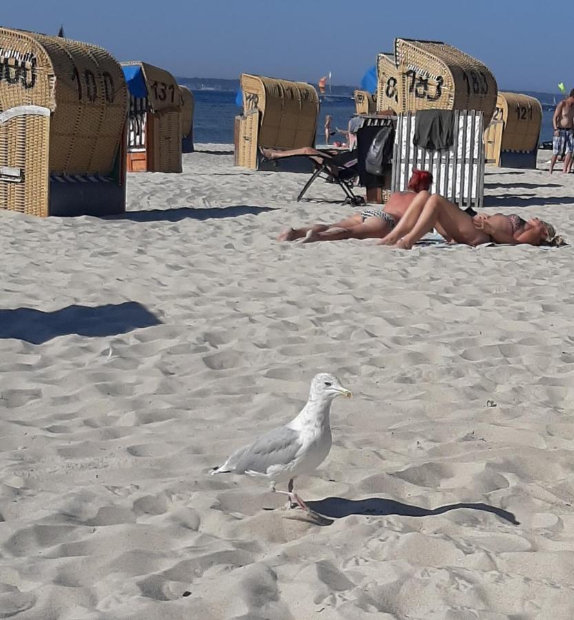 Penthouse Ferienwohnung Auszeit, Gerne Mit Hund, Wlan Inkl. Laboe Eksteriør bilde